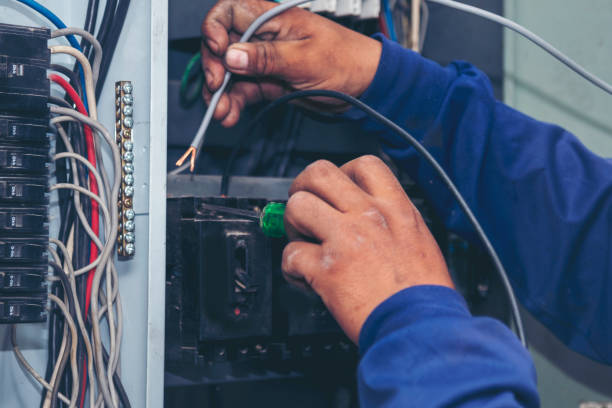 Best Electric Panel Repair  in Daleville, IN